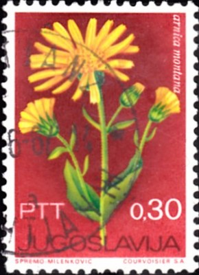 20190419_0006.jpg