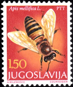 20190427_0005.jpg