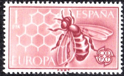 E1962.jpg