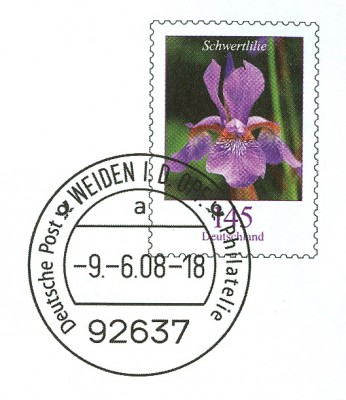 eadpagF328-2.jpg