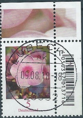561h.jpg