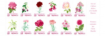 20191217_0015.jpg (1.57 MiB) 844-mal betrachtet 20191217_0015.jpg