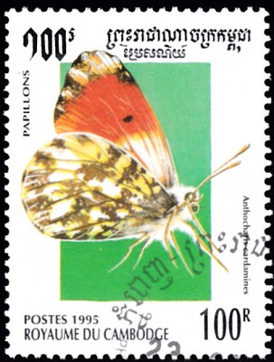 20200129.jpg