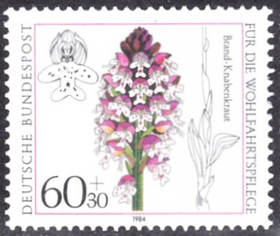 20200816_0001.jpg (69.01 KiB) 352-mal betrachtet 20200816_0001.jpg