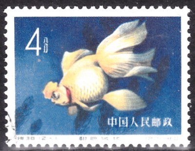 20201106_0006.jpg
