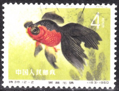 20201106_0007.jpg