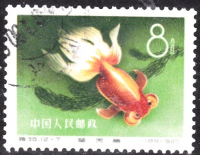 20201106_0011.jpg
