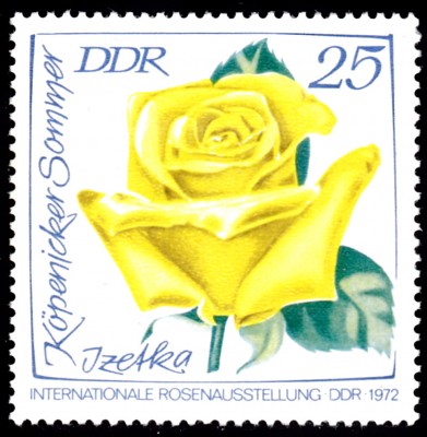 20201126_0014.jpg