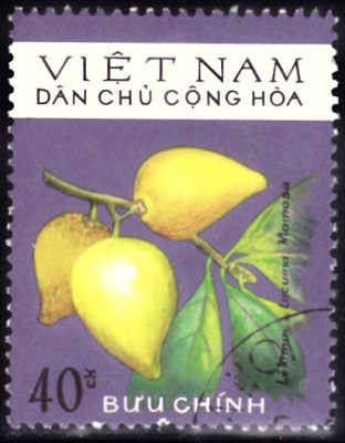 20210204_0026.jpg (79.42 KiB) 418-mal betrachtet 20210204_0026.jpg