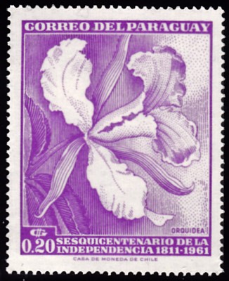 20210515_0023.jpg (131.44 KiB) 1021-mal betrachtet 20210515_0023.jpg