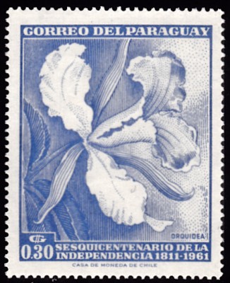 20210515_0024.jpg (122.85 KiB) 1018-mal betrachtet 20210515_0024.jpg