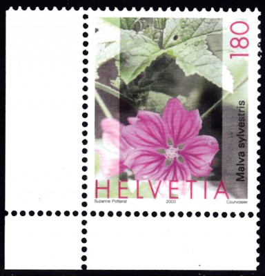 20211012_0009.jpg (215.15 KiB) 814-mal betrachtet 20211012_0009.jpg