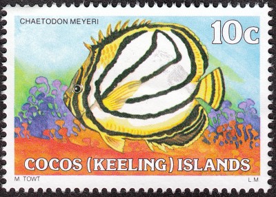 IMG - Kopie.jpg