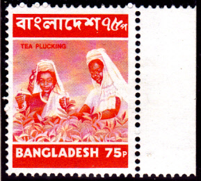 BDDSgross_0024.jpg