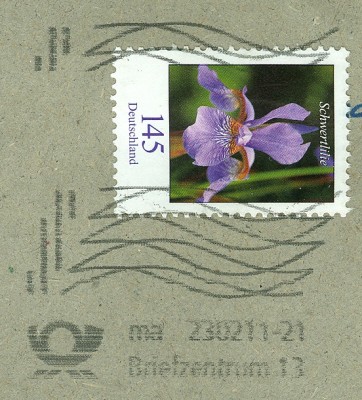 BZ-13.jpg