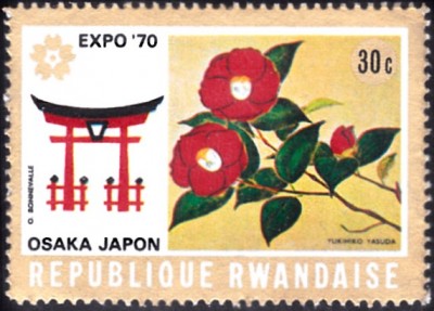 20220415_0006.jpg (95.7 KiB) 123-mal betrachtet 20220415_0006.jpg