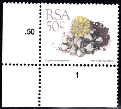 20220628.jpg (64.79 KiB) 150-mal betrachtet 20220628.jpg