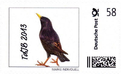 DPhJindividuell.jpg