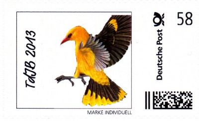 DPhJindividuell_0004.jpg