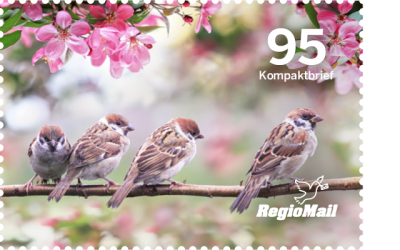 Briefmarke_95_Vogelgezwitscher_2022_Stanzrahmen3.png