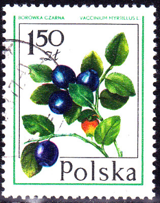 20230109_0002.jpg