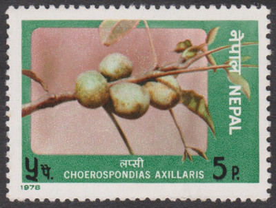 004 (4).jpg (239.09 KiB) 1140-mal betrachtet 004 (4).jpg