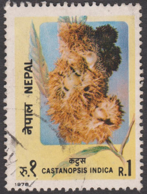 004 (2).jpg (249.72 KiB) 1086-mal betrachtet 004 (2).jpg