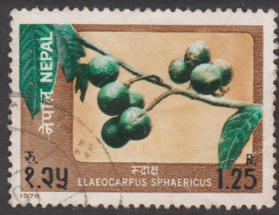 004 (3).jpg (228.62 KiB) 1086-mal betrachtet 004 (3).jpg