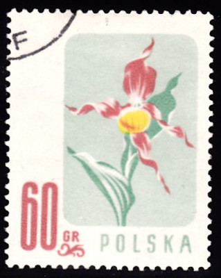 20190409_0010.jpg