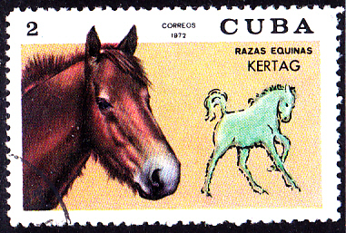 20230405_0015.jpg