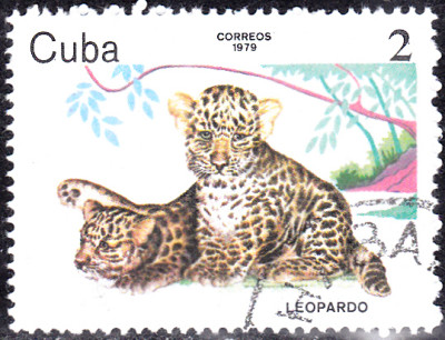 20230503_0005.jpg