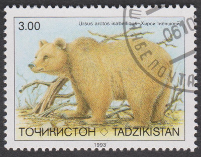 0043.jpg (248.81 KiB) 770-mal betrachtet 0043.jpg