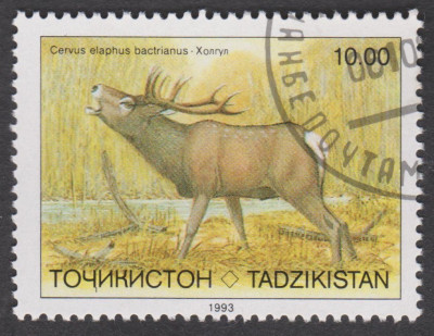 0042.jpg (250.67 KiB) 770-mal betrachtet 0042.jpg