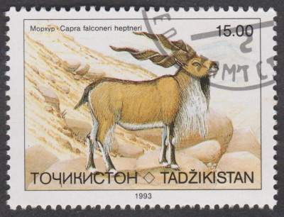 0044.jpg (241.35 KiB) 770-mal betrachtet 0044.jpg