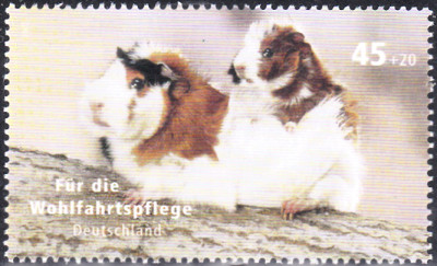 20240216_0007.jpg