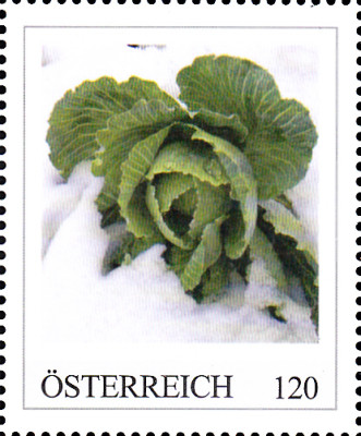 20240306_0005.jpg